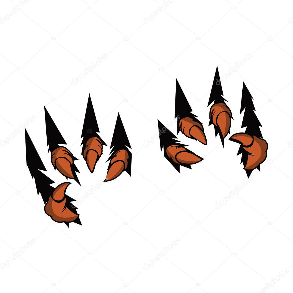 Eagle Claw Talons vector