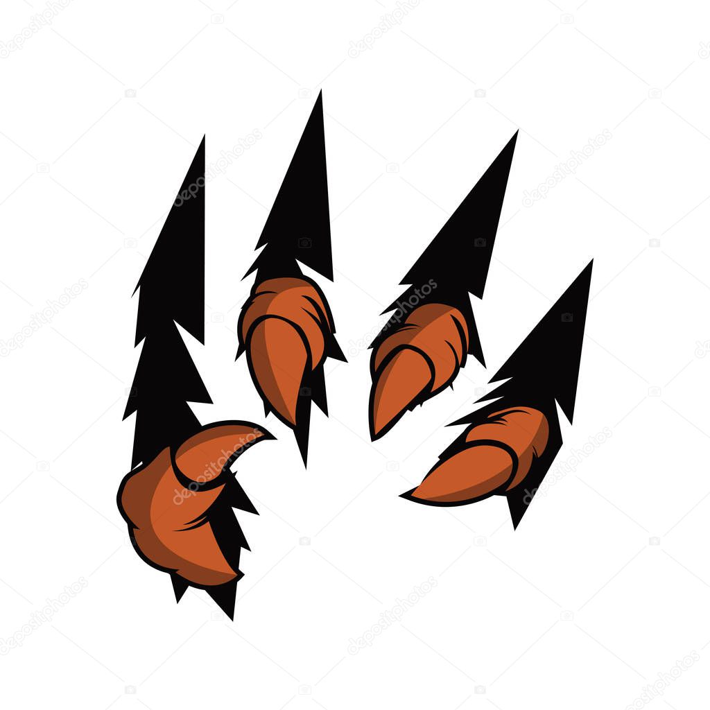 Eagle Claw Talons vector