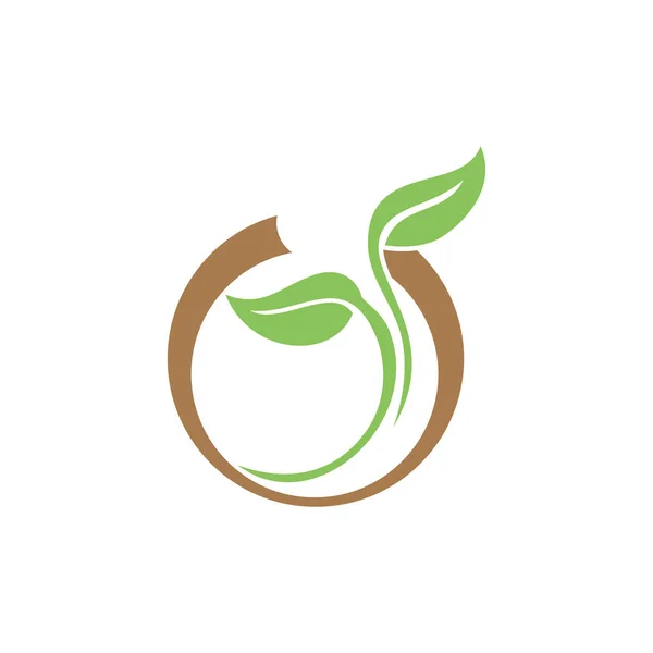 Leaf Skönhet Business Logo — Stock vektor