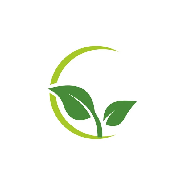 Grönt Blad Vektor Logo — Stock vektor
