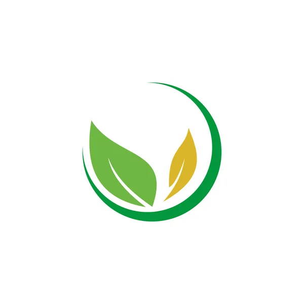 Eco Blad Bedrijfs Embleem — Stockvector