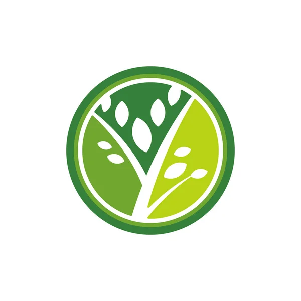 Logo Ontwerp Blad Voor Schoonheidszaken Lettertype Groeiende Bedrijven — Stockvector
