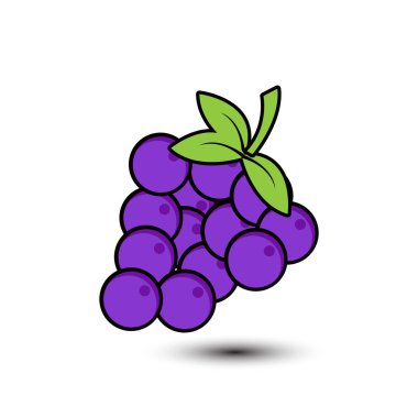 meyve taze organik vektör görüntü