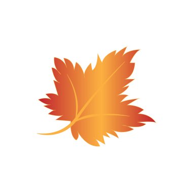 Sonbahar, yaz vektör görüntü