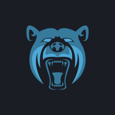 ayı baş vektörü çizimi