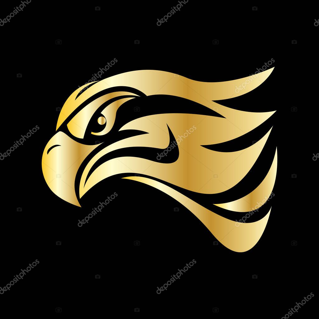 Eagle head vector image for sport mascot