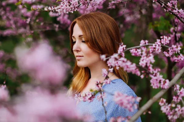 Vacker mysigt rödhårig kvinna i vårtid blomma körsbärsträd trädgård. — Stockfoto