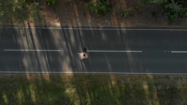 Άνδρας και γυναίκα περπατώντας κατά μήκος του δρόμου στο δάσος καλοκαίρι εναέρια άποψη κορυφή — Αρχείο Βίντεο