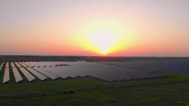 夏の日没時に太陽光発電所の大きな太陽電池パネルに空中ドローンビュー。太陽電池発電所。映像ビデオ4k. — ストック動画