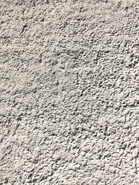 Texture Plaster Fur Coat Wall Seamless Grey Texture — Stock Photo, Image