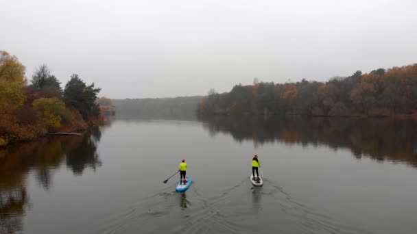 Drone shot of man and woman on sup paddle boards at wide river on golden season forest background — Stok Video