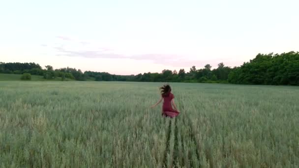 Молодая женщина с длинными волосами в длинном платье работает на поле, замедленная съемка 4k — стоковое видео
