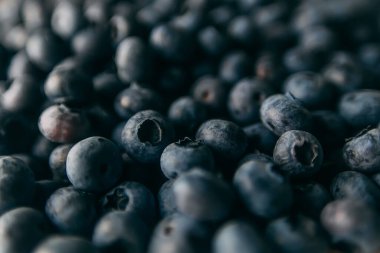 Ormanda toplanmış bir sürü yabanmersini. Seçici odaklı yaz meyveleri ile arkaplan dokusunu kapat