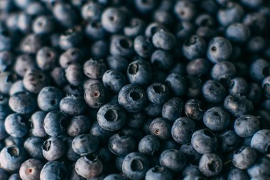 Ormanda toplanmış bir sürü yabanmersini. Seçici odaklı yaz meyveleri ile arkaplan dokusunu kapat