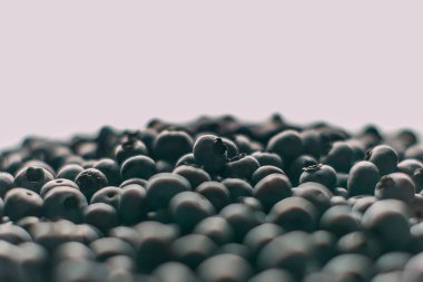 Ormanda toplanmış bir sürü yabanmersini. Beyaz arka plan üzerine seçici odaklı yaban mersinlerini kapat, sağlıklı gıda konsepti