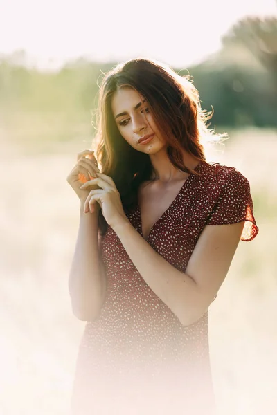 Retrato Bela Jovem Mulher Com Cabelos Castanhos Longos Vestido Padrão — Fotografia de Stock