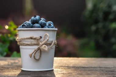 Bahçe bahçesindeki ahşap bankta küçük bir kovadaki yaban mersini. Yaz günbatımında, sağlıklı yiyecek kavramı.