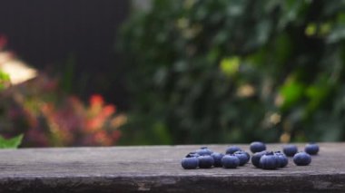 Birisi bahçedeki ahşap bankın üzerine yaban mersinli küçük dekoratif bir kova koymuş.