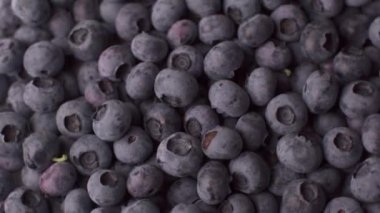 Yaban mersini dönüşümlü arka plan. Yakında bir sürü olgun yabanmersini var. Organik ve sağlıklı yiyecekler..