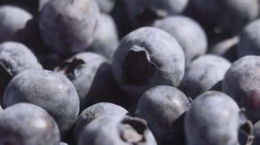 Yabanmersini Dönen Arkaplanı 'nı kapat. Yakında bir sürü olgun yabanmersini var. Organik ve sağlıklı yiyecekler..