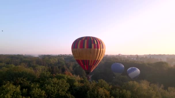 Colorful hot air balloons flying over green park in small european city at summer sunrise, aerial view — Stock Video