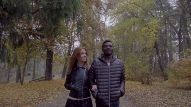 Concept d'amour interracial. Beau jeune couple interracial marchant sur la route dans le parc d'automne brumeux — Video