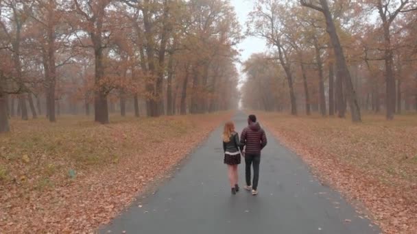 Conceito de amor inter-racial. Bonito jovem casal interracial andando na estrada no parque de outono nebuloso — Vídeo de Stock