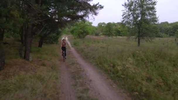 Повітряний постріл молодого спонсора їде на велосипеді по лісовій дорозі в літній вечір. Здоровий спосіб життя на велосипеді — стокове відео