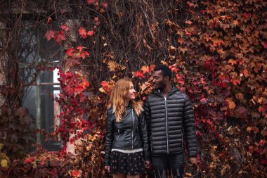 Güz yapraklarında poz veren ırklar arası bir çift, siyah erkek ve beyaz saçlı kadın.