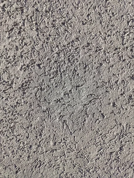 Texture Plaster Bark Beetle Wall Seamless Grey Texture — Stock Photo, Image