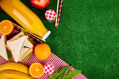 Çimlerde piknik. Kırmızı masa örtüsü, sepet, sağlıklı gıda sandviç ve meyve, portakal suyu kontrol ettim. Üstten görünüm. Yaz Saati dinlenme. Düz yatıyordu.