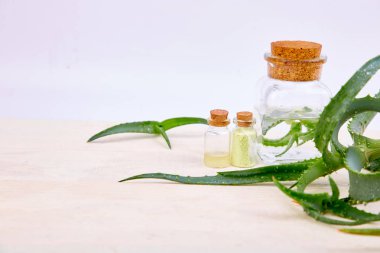 Beyaz arka plan üzerinde spa için Aloe vera yağı cam şişe ve havlu. Star kaktüs, Aloin, Jafferabad, Aloe barbadensis, Barbados bitkisel ilaç cilt tedavi ve bakım için. Kopya alanı