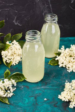 Kombucha çayı elderflower yeşil arka plan ile. Ev yapımı infüzyon içecek fermente. Yaz sağlıklı doğal probiyotik içki aromalı. Kopya girintili