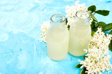 Kombucha çayı elderflower çiçek mavi arka plan ile. Ev yapımı infüzyon içecek fermente. Yaz sağlıklı doğal probiyotik içki aromalı. Kopya girintili