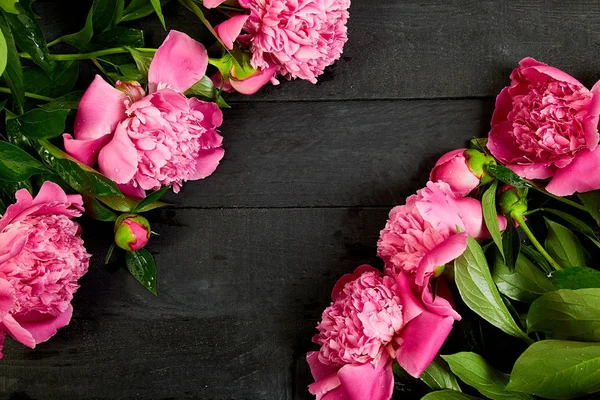 Hermosas Flores Peonía Rosa Sobre Fondo Negro Copiar Espacio Vista —  Fotos de Stock