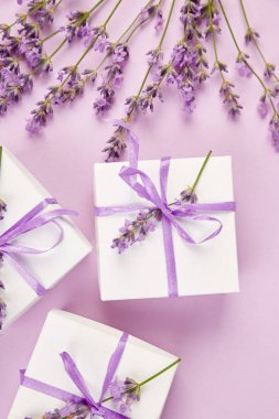 Mor Şerit ve buket çiçek lavanta pembe bir arka plan üzerinde beyaz hediye kutusu. Kutlama, Doğum günü. Dekorasyon mevcut. Düz yatıyordu. Kopya alanı.