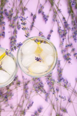 Lavanta Limonata limon ve mor zemin üzerine buz. Suyu detoks. Yaz içeceği. Diyet kokteyl. Güzel. Üstten görünüm. Kopya alanı.