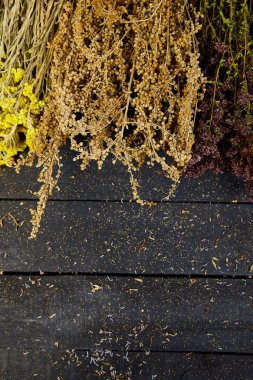 Kuru otlar çiçek - tutsan, adaçayı, kekik, helichrysum, lavanta çerçevesinden. Aromaterapi. Tıbbi. Üstten görünüm kopya alanı düz yatıyordu