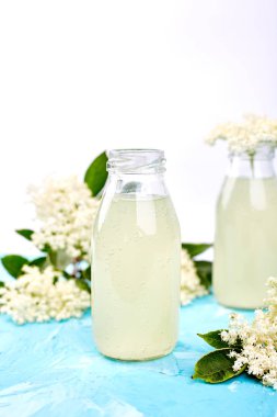 Kombucha çayı elderflower çiçek mavi arka plan ile. Ev yapımı infüzyon içecek fermente. Yaz sağlıklı doğal probiyotik içki aromalı. Kopya girintili