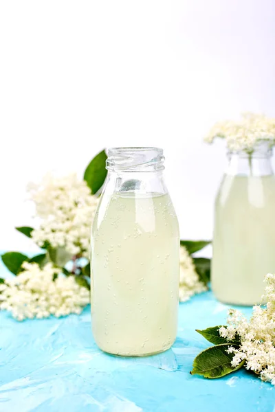 Kombucha Τσάι Elderflower Λουλούδι Μπλε Φόντο Σπιτικό Ζύμωση Αρωματισμένο Ποτό — Φωτογραφία Αρχείου