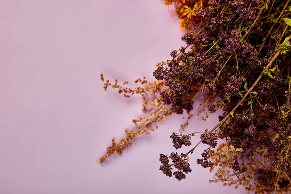 Fondo Del Marco Hierbas Secas Flor Tutsan Sagebrush Orégano Helichrysum —  Fotos de Stock