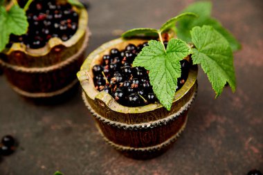 Blackcurrant meyveler yaprakları, siyah frenk üzümü yeşil kase ile. Kopya alanı.