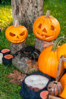 Cadılar Bayramı. Jack-o-Lantern. korkutucu kabak mumlar ve yeşil orman, açık örümcek yakınındaki bir gülümsemeyle. Dekorasyon.