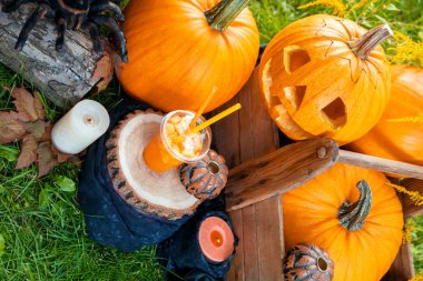 Halloween pumpkins dekorasyon zemin üzerine ile kokteyl. Bir partisi için kokteyl. Jack-o-Lantern. Üstten görünüm.