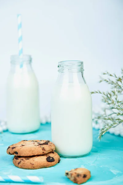 Cookie chocolate with a organic milk bottles near flower on blue background. Healthy morning breakfast concept. Minimalist. Spring food.