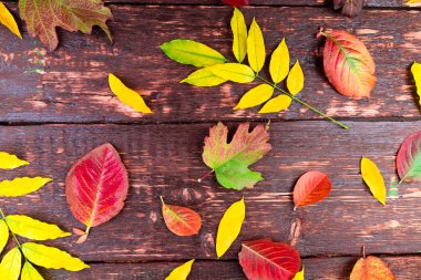 Ahşap masa üzerinde arka plan yaprak. Düz yatıyordu. Şükran günü çerçeve. Sonbahar.