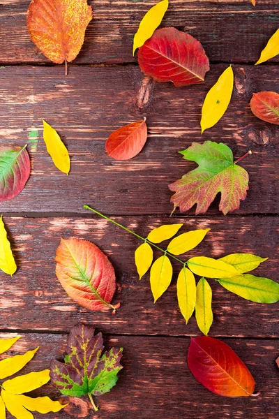 Otoño Deja Fondo Sobre Mesa Madera Acostado Marco Del Día —  Fotos de Stock