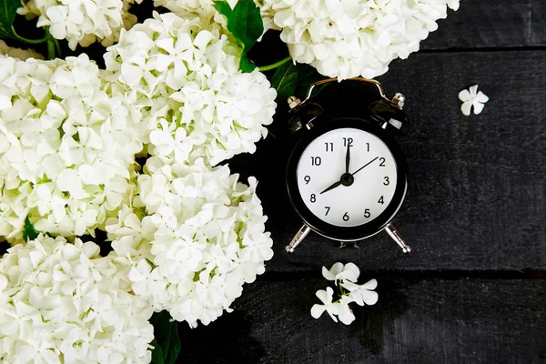 Black alarm clock and white flowers on black background.  Mother or Women Day. Greeting Card. Good Morning breakfast.  Spring. Romantic. Top view. Copy space. Flat lay