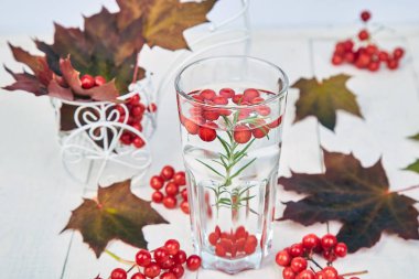 Beyaz ahşap zemin, sonbahar kırmızı akçaağaç yaprakları ve beyaz zemin üzerine kartopu çilek rosemary ile sıcak kartopu çay bardak. Kış. Noel. Soğuk sezon.