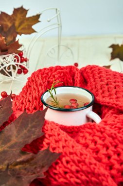 Kupa veya sıcak kartopu çay kırmızı sıcak örme eşarp ile sonbahar maple kırmızı yaprakları ve kartopu beyaz arka plan üzerinde meyveleri. Kış. Noel. Soğuk sezon.